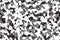 Gray and white camouflage pattern blackground