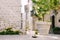 A gray and white cat sits on the asphalt near high-rise buildings, stairs with railings and a large outdoor flowerpot