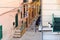 A gray and white tabby cat sits on a ledge outside a balcony in a residential district of an Italian town