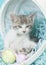 Gray white tan calico tabby kitten playing easter basket