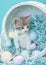 Gray white tan calico tabby kitten playing easter basket