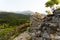 Gray wild rocks and wild green forest. View from above. Landscape