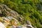 Gray wild rocks and wild green forest. View from above. Landscape