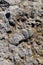 Gray and winding stone concrete texture