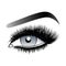 Gray woman eye with long false lashes with eyebrows.