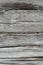 Gray wood texture