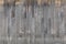 Gray wooden wall texture