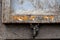 Gray worn out industrial texture background - fragment of a truck body with rust and peeling paint, dried and cracked mud