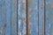 Gray yellow old fence a wall of wooden planks with blue peeling paint and cracks and white spots close-up. vertical lines. rough