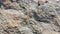 Grayish Mountain Rock Background Texture