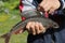 Grayling closeup (arctic char)