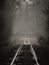 Grayscale of a railway in a foggy forest