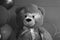 Grayscale shot of a bear toy with several balloons on the background