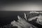 Grayscale shot of dead trees on the deserted beach, tranquil waterscape on the background