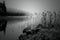 Grayscale shot of a forest lake shrouded in mist.