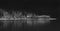 Grayscale shot of a lake surrounded by a forest at night