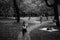 Grayscale shot of people walking and resting in a park with many trees