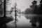 Grayscale shot of a pond rounded by trees in Galicia