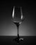 Grayscale shot of a shiny wine glass