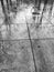 Grayscale shot of a street stone pavement wet surface after the rain