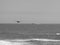 Grayscale shot of two booby birds flying on the sea