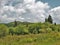 Grayson Highlands Rain Clouds