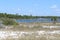 Grayton Beach State Park