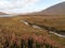 Graze land in autumn colors near Loch Ainort in Isle of Skye, United Kingdom.