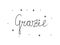 Grazie phrase handwritten with a calligraphy brush. Thanks in italian. Modern brush calligraphy. Isolated word black