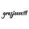 Grazie - thank you in Italian. Modern brush calligraphy.Vector illustration