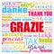 Grazie Thank You in Italian word cloud