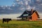 grazing cow next to prairie house with central chimney