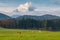 Grazing cows in the field in the morning, background of the Watzmann mountains in foggy weather, near the town of Berchtesgaden,