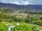 Grazing cows in a grass field. A group of cows graze in a meadow or plain against the seascape of Madeira Island while looking at