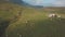 Grazing cows in northern Italy