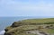 Grazing Cows in a Sea Cliff Pasture in England