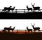 Grazing deer herd behind wooden fence at farm - vector silhouette design