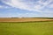 Grazing hereford cows in a classic English landscape