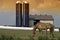 Grazing horse barn silos