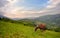 Grazing Horse. Beautiful Rural Mountain Landscape With A Red Horse Grazing On The Green Slope. Spring In Mountains, Border Of Roma