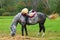 Grazing horse. Green grass, autumn forest background.