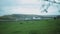 Grazing horses on green field with farm buildings behind