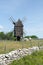 Grazing horses by an old windmill at the island Oland in Sweden