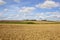 Grazing meadows and wheat