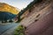 Grazing mountain goats along the Fraser River