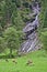 Grazing red stags on a meadow in front of a steep rocky cliff with waterfall