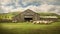 grazing sheep barn