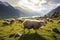 Grazing sheep create a serene scene on the green mountain