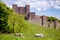 Grazing sheep at Dover Castle Kent England UK