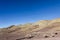 Grazing sheep and goats on stony ground plains